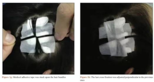 1654824511938931.jpg 1654824511938931.jpg