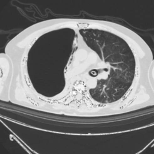 1661841334113568.png 1661841334113568.png