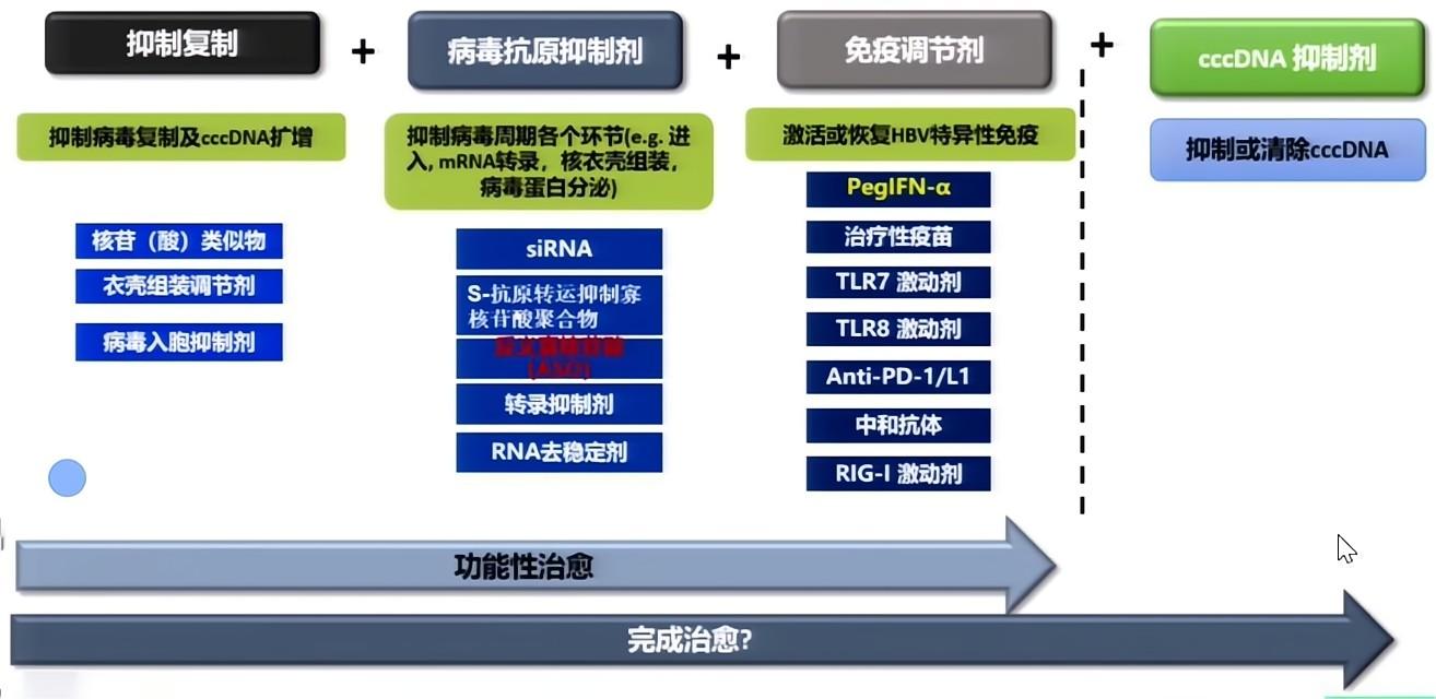 录屏-赵英仁教授_Moment-8.jpg