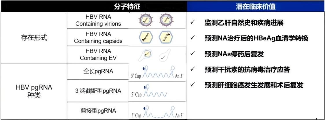 录屏-赵英仁教授_Moment-9.jpg