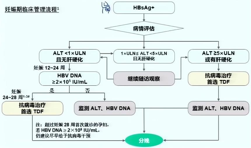 录屏-赵英仁教授_Moment-10.jpg