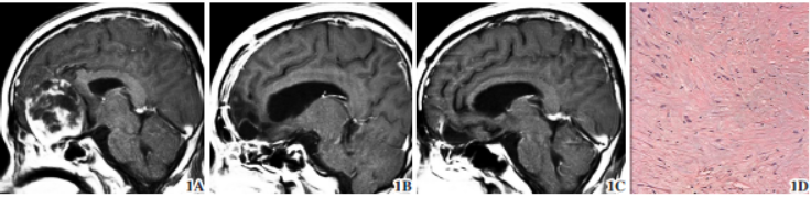 1669764992758335.png 1669764992758335.png