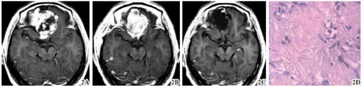 1669765048149220.png 1669765048149220.png