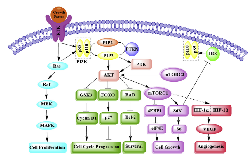 1675324374279349.png 1675324374279349.png