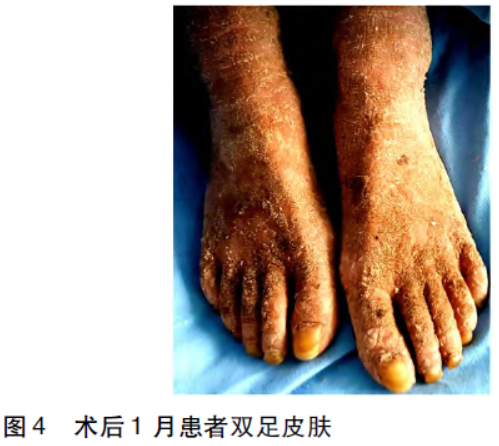 1676936089199221.png 4.png