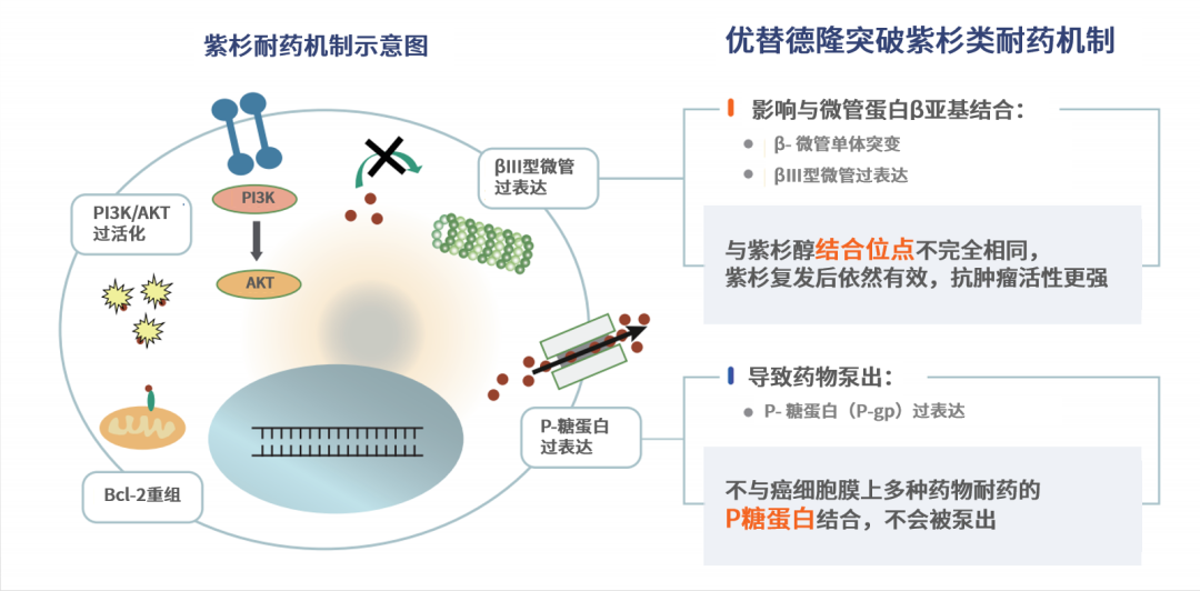 1677811126425949.png 640-2.png