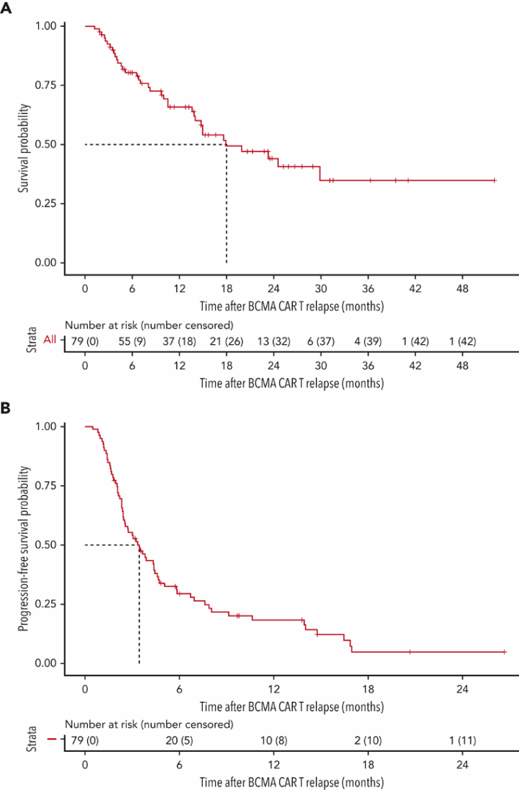 1677845340716329.png 1677845340716329.png