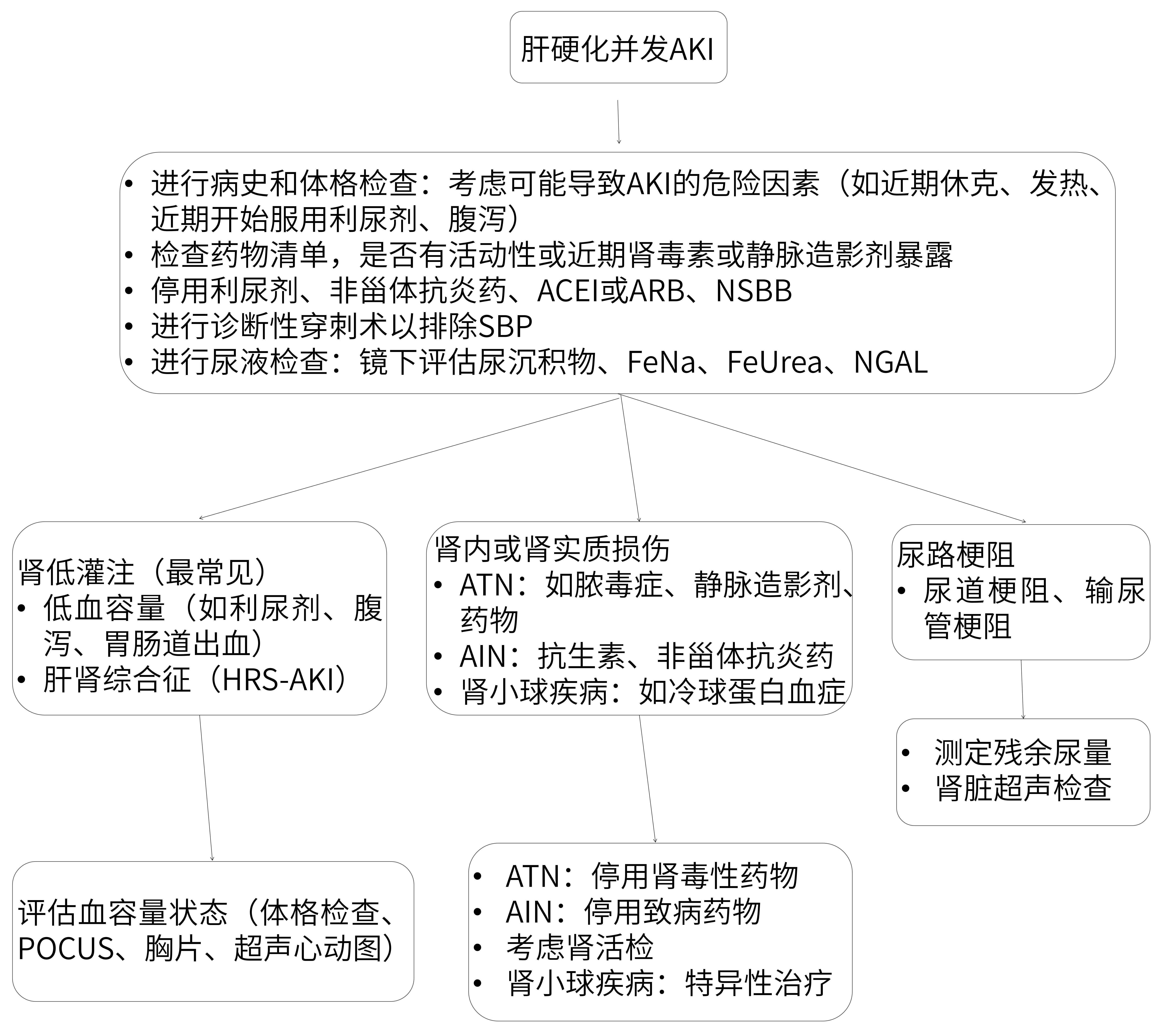 图1-1Acute Kidney Injury in Patients with Cirrhosis.jpg