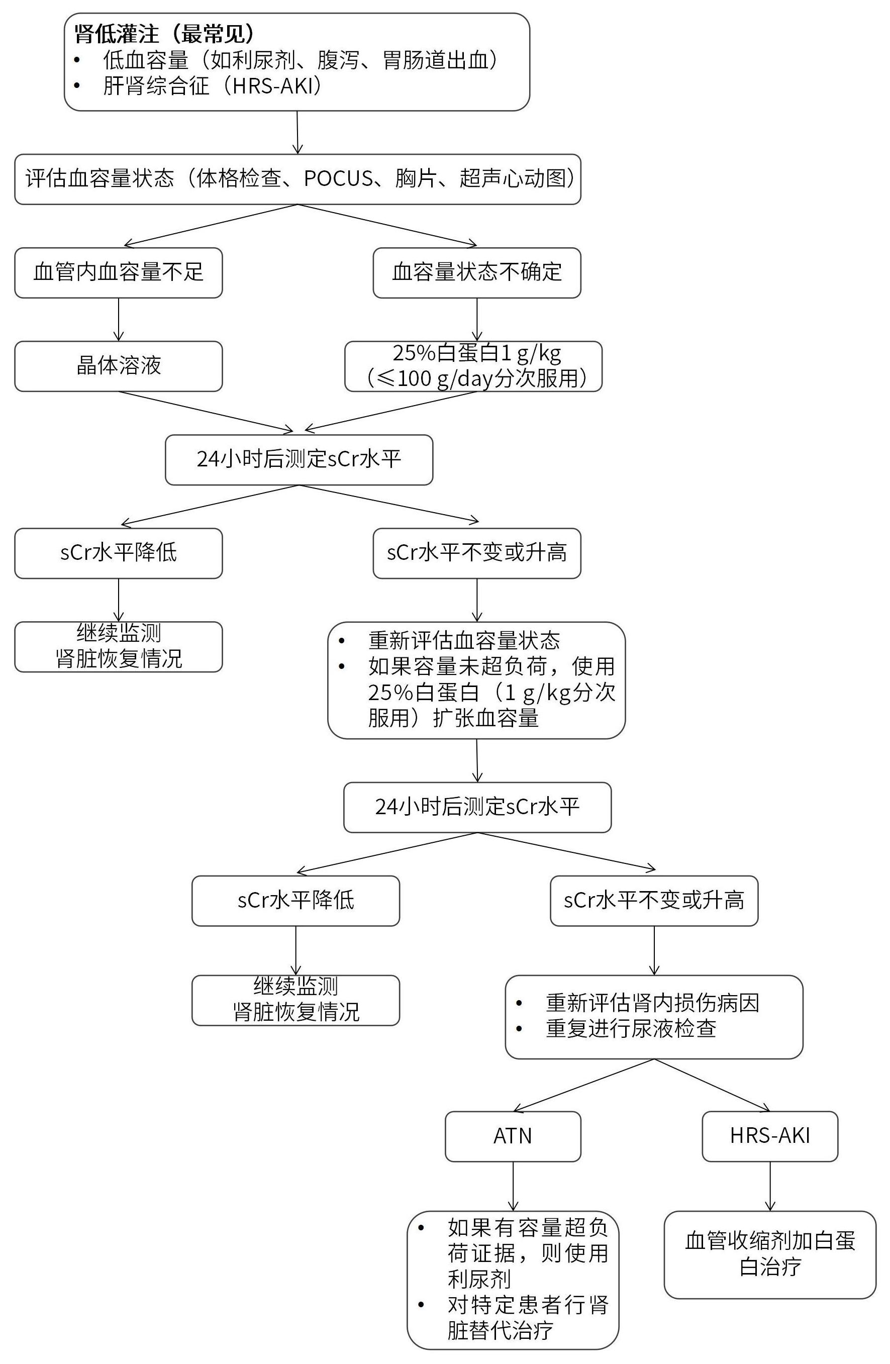 图1-2Acute Kidney Injury in Patients with Cirrhosis.jpg