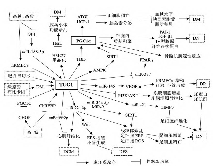 1680942029779973.jpg 1680942029779973.jpg