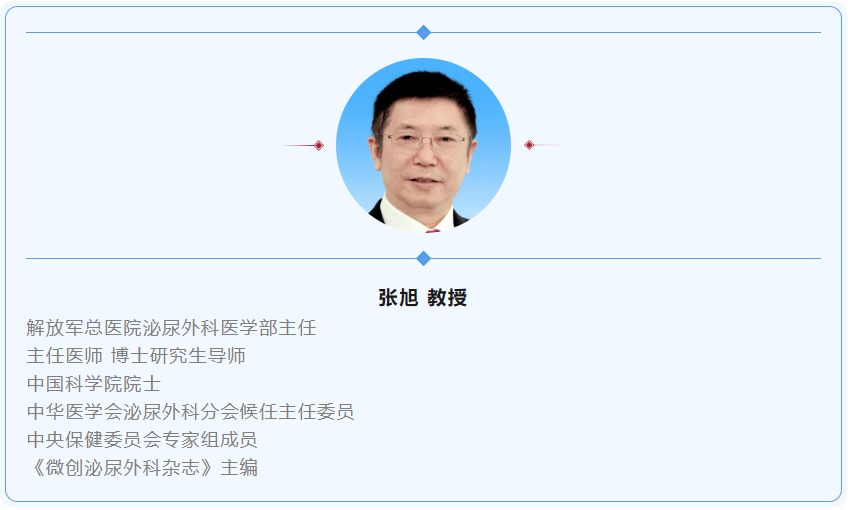 张旭教授.png