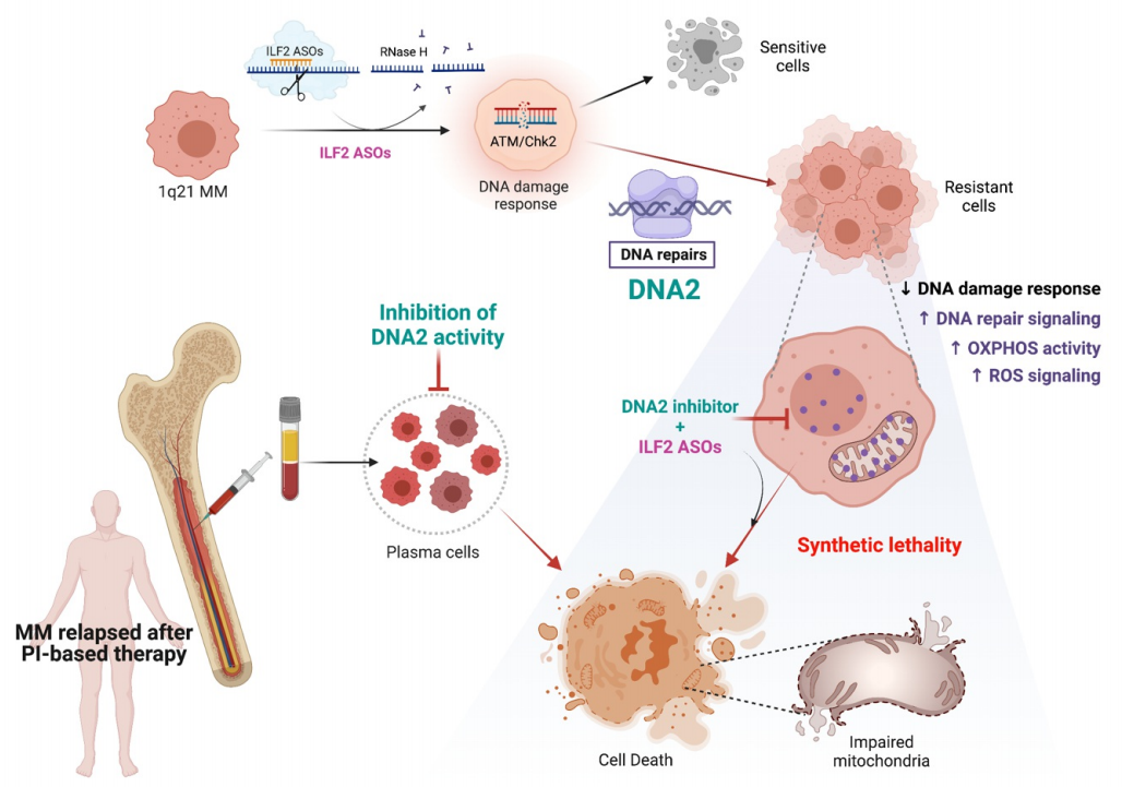 1686478038671431.png 1686478038671431.png