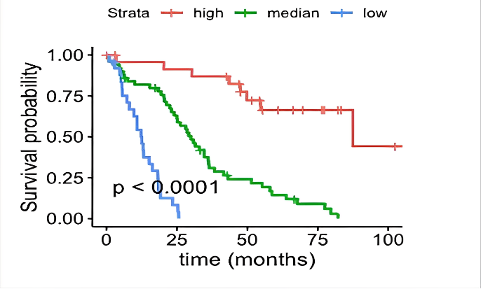 1686478097159786.png 1686478097159786.png