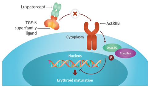 1687847210815274.png 640 (3).png