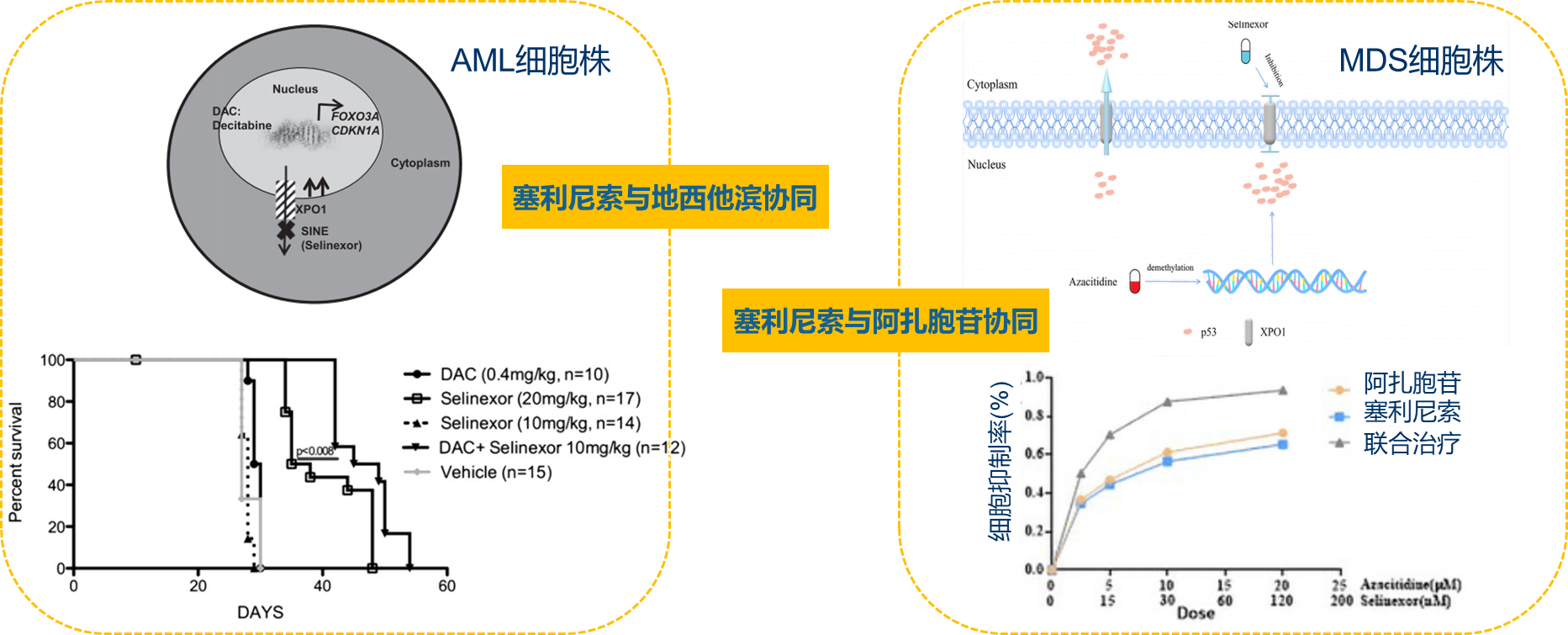 1688267129627527.png image002.png