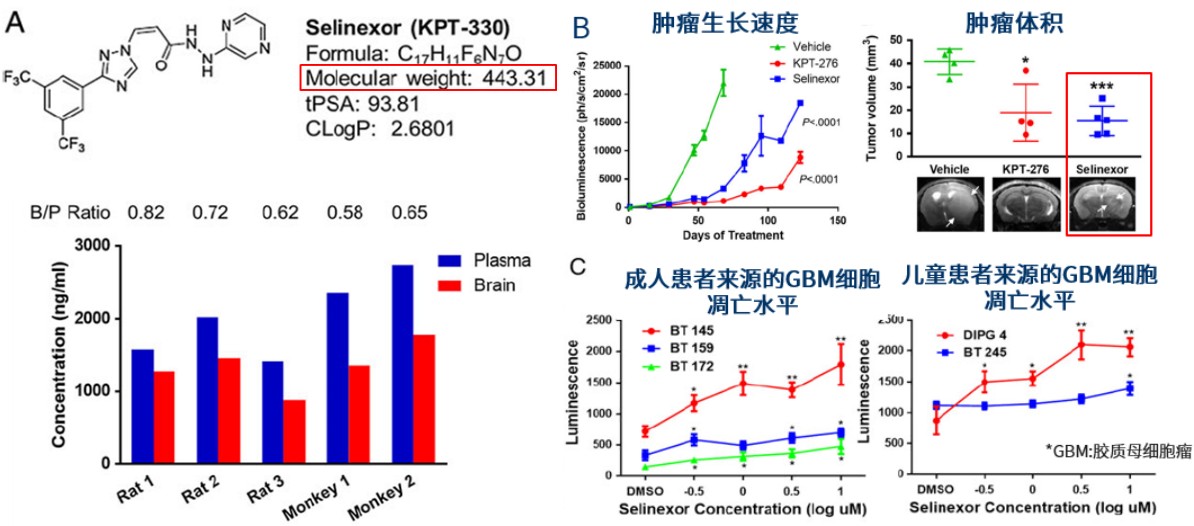 1688267297612144.jpg 123456.jpg