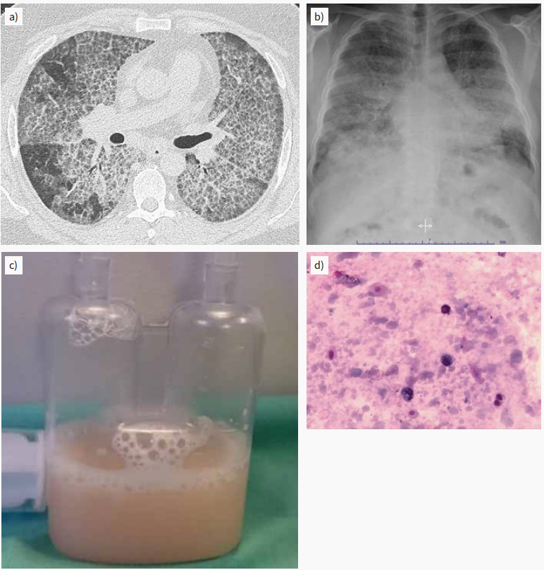 1689946448404836.png 图片1.png