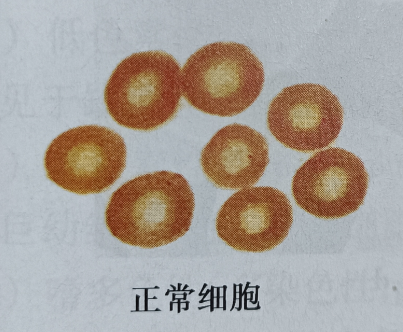 图片5.png