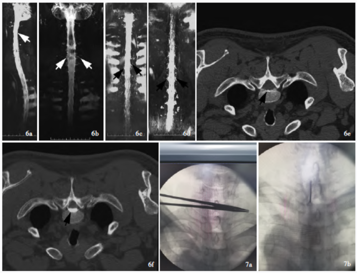 1692573387360595.png 1692573387360595.png