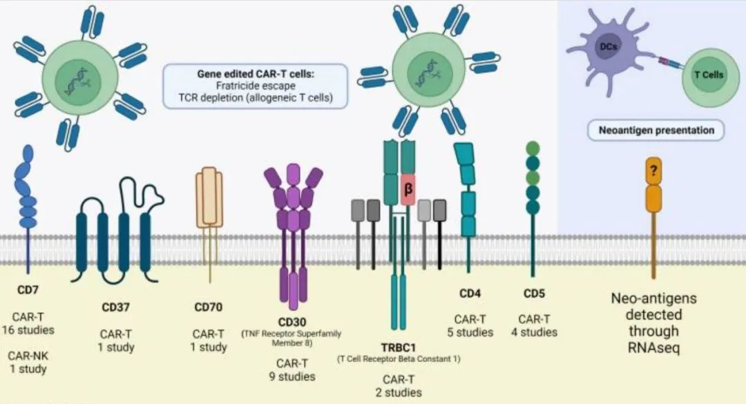 1701067770842061.png 1701067770842061.png