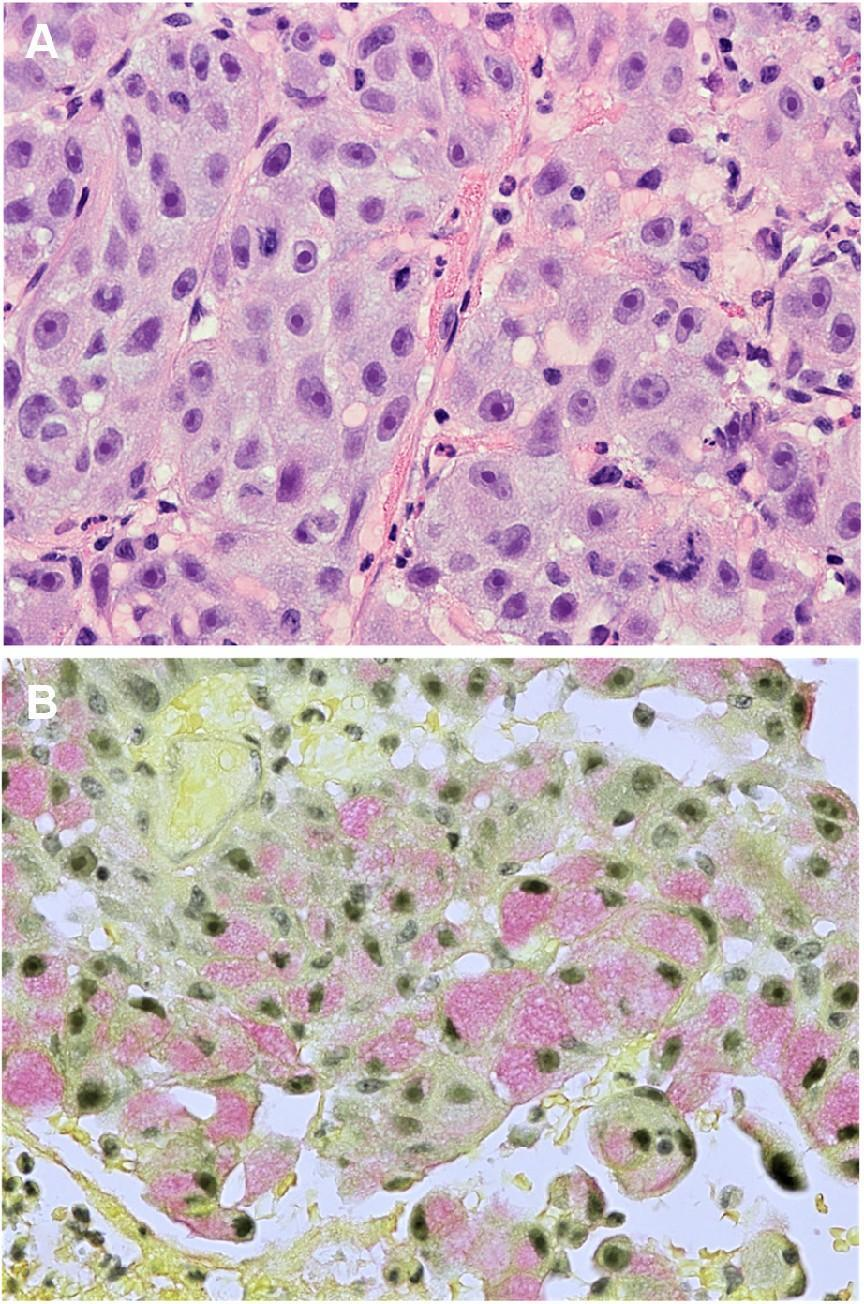 1702958267365396.png 3.png