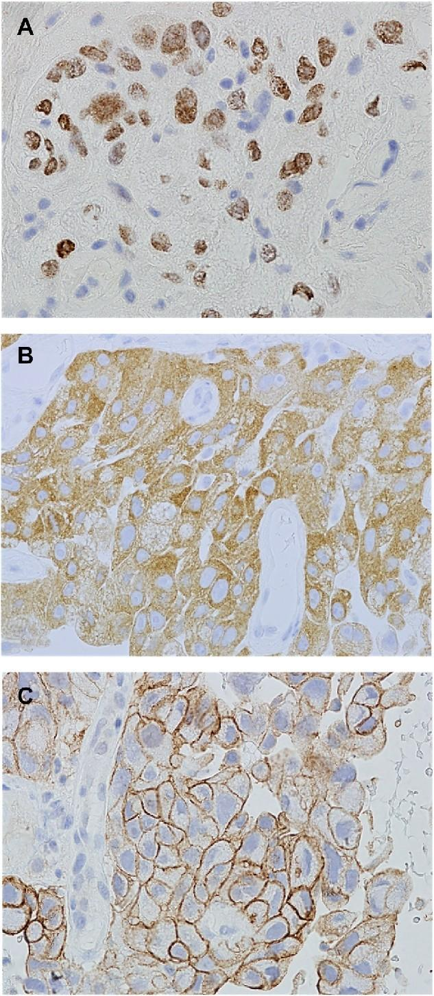 1702958300823969.png 4.png