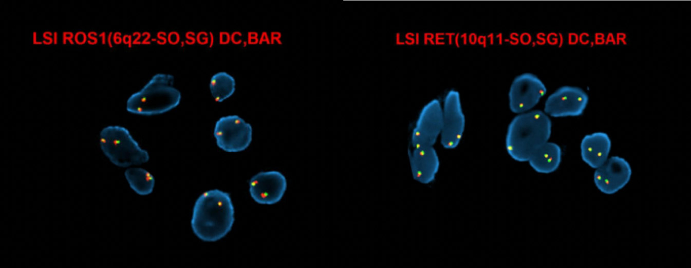 1702958303970835.png 5.png