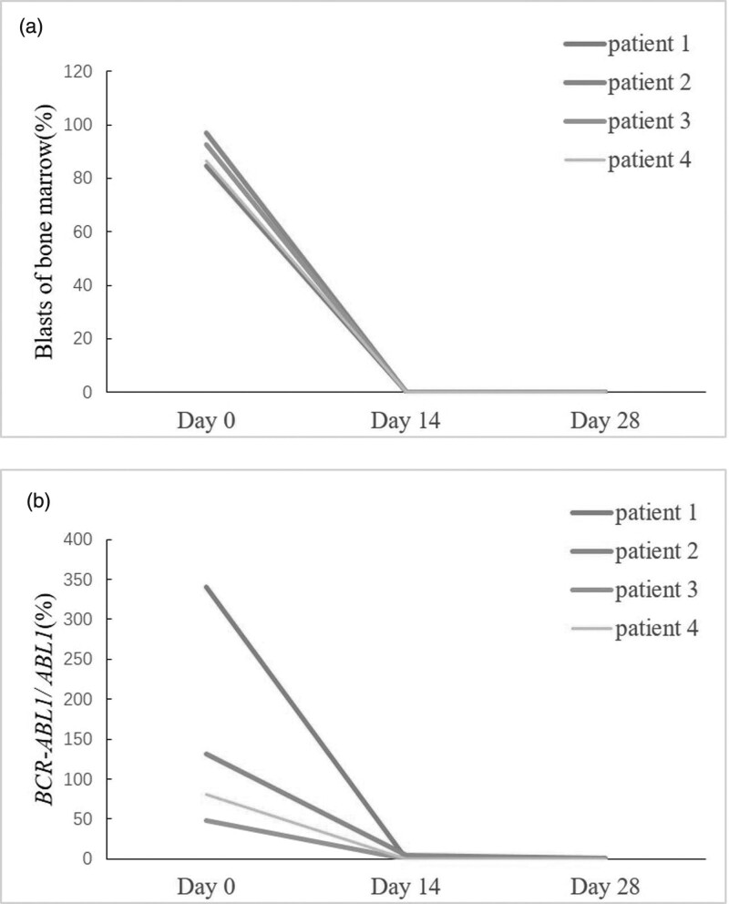 1703475591758289.png 11.png