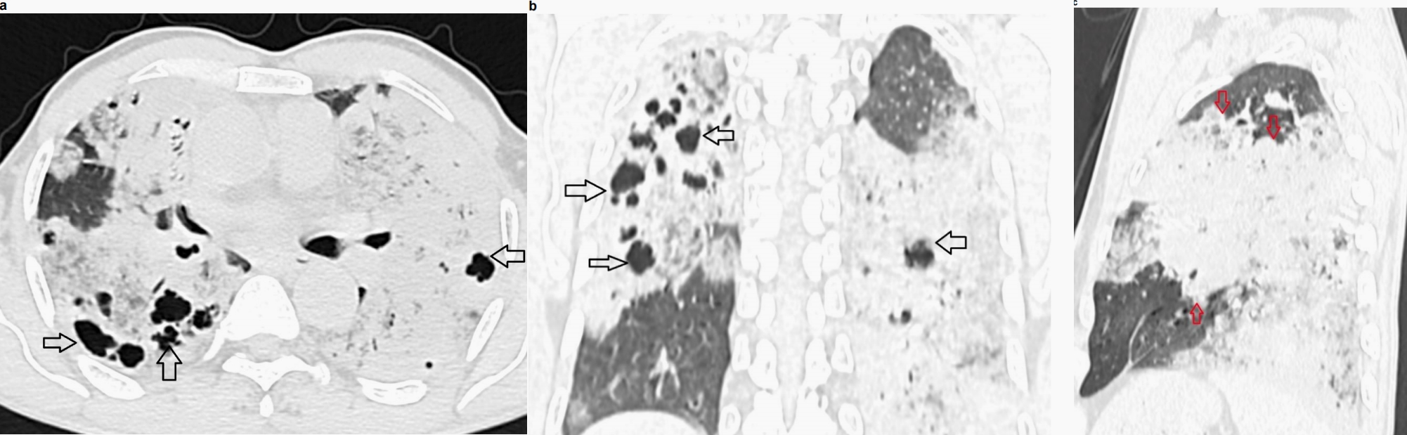 1704879941748182.jpg 图2.jpg