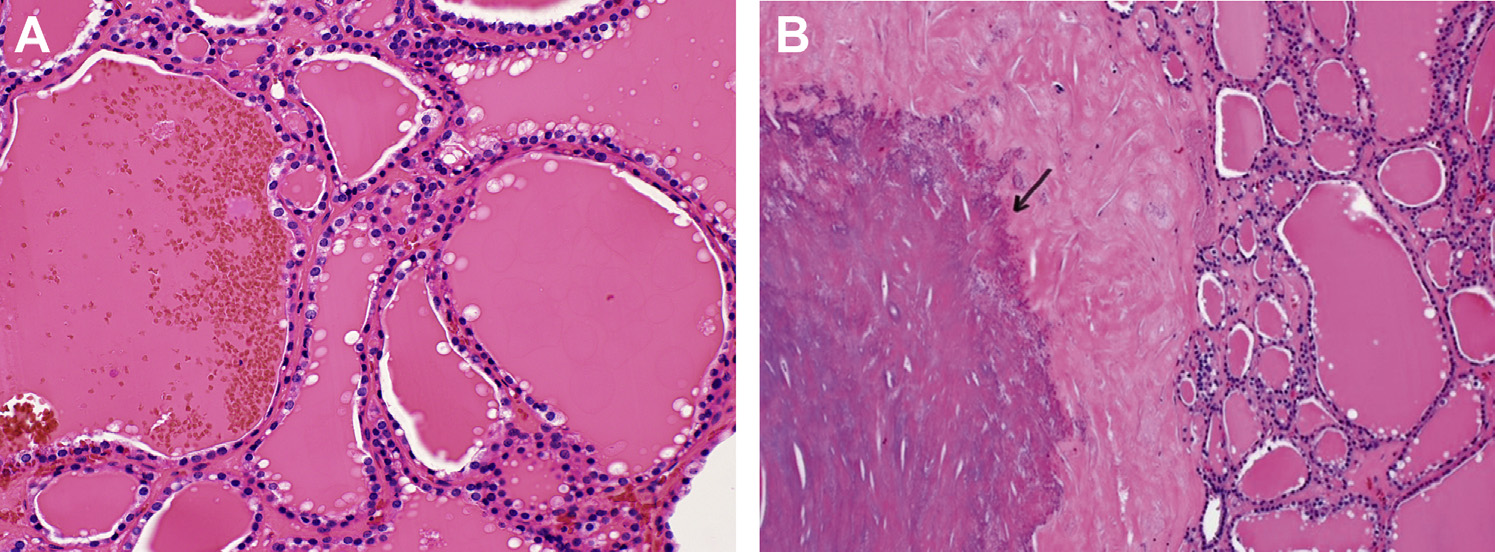 1706265571560869.png 图片2.png