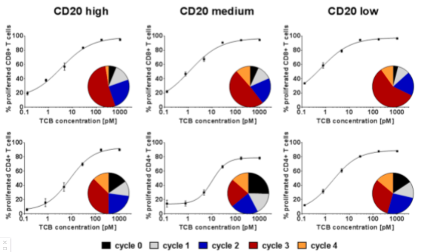 1706773536859770.png 1706773536859770.png