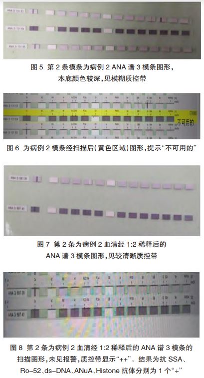 1708437126802077.jpg