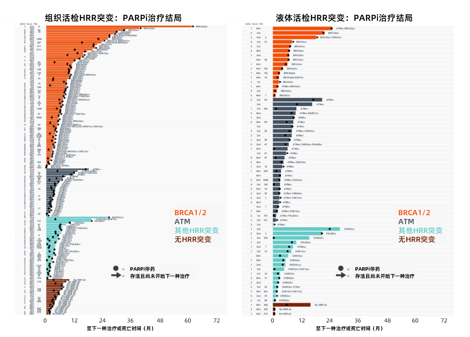 图片 4.png