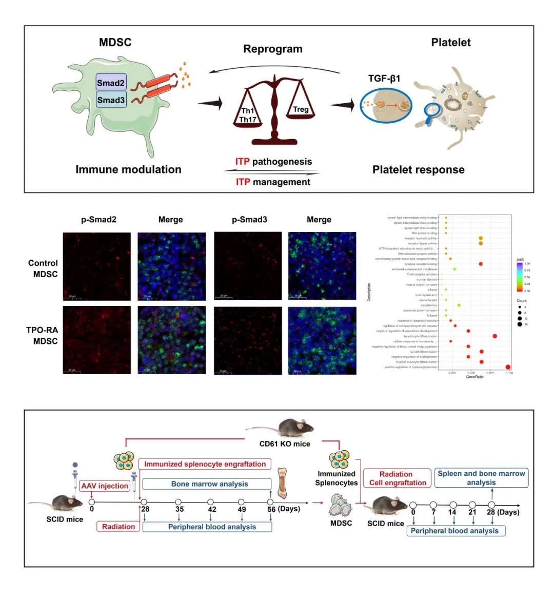 1712821999405638.jpeg 1712821999405638.jpeg