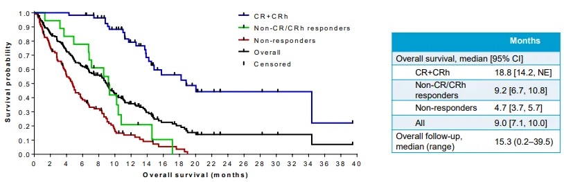 1714553914320089.jpeg 640 (1).jpeg