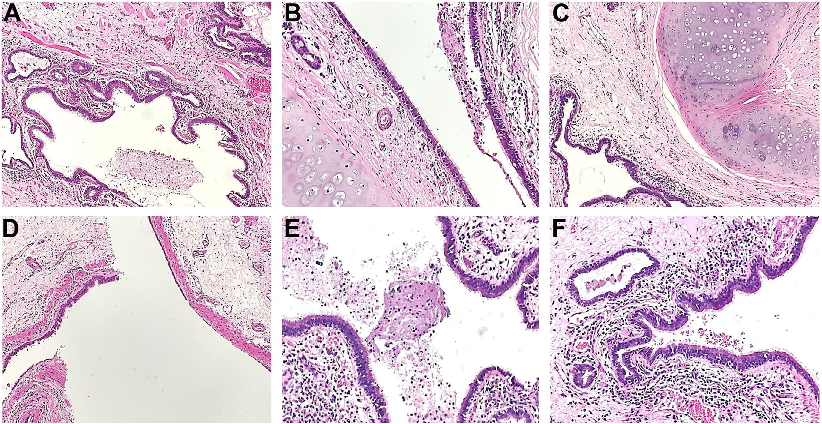 1716110350425304.png 图4.png