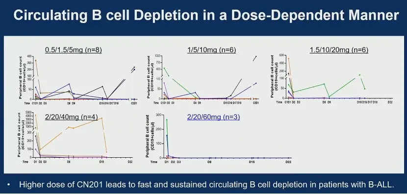 1717435524951284.jpeg 640 (2).jpeg