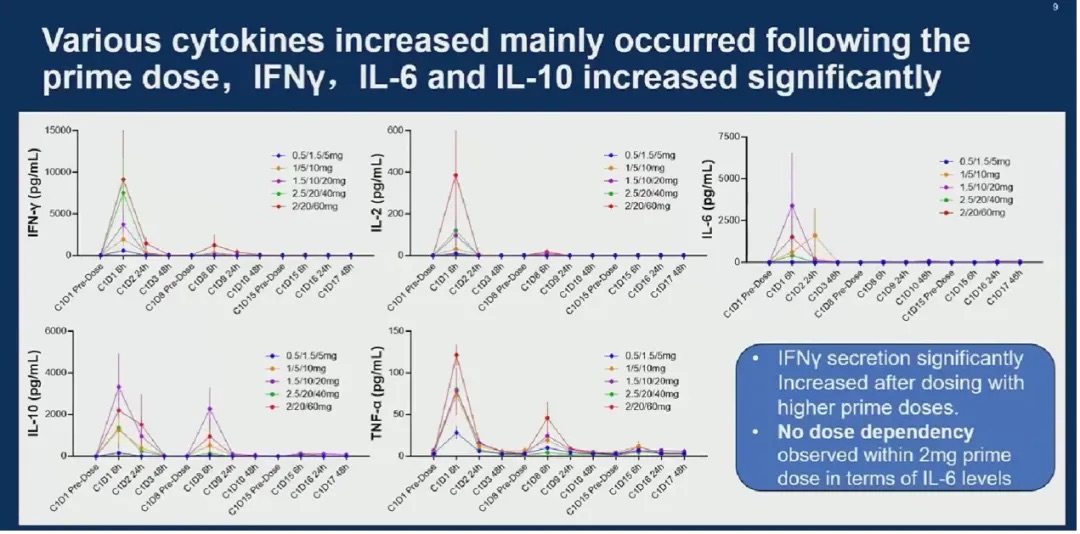 1717435538579782.jpeg 640 (3).jpeg