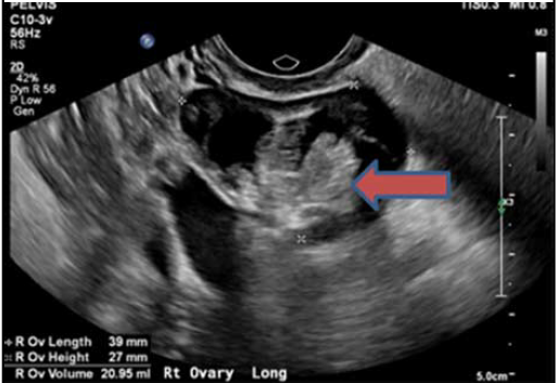 1717553576332185.png 1.png