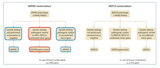 1717746653871037.png 1.png