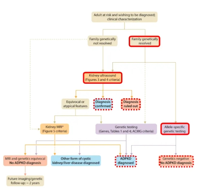 1717746702895002.png 1.png