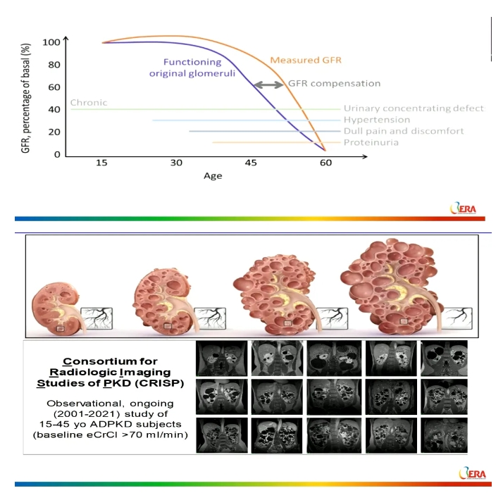 1717746733663752.png 2.png