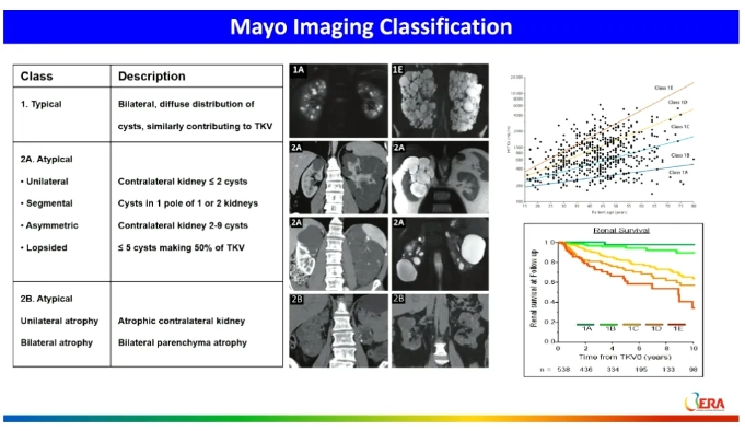 1717746781119549.png 1.png