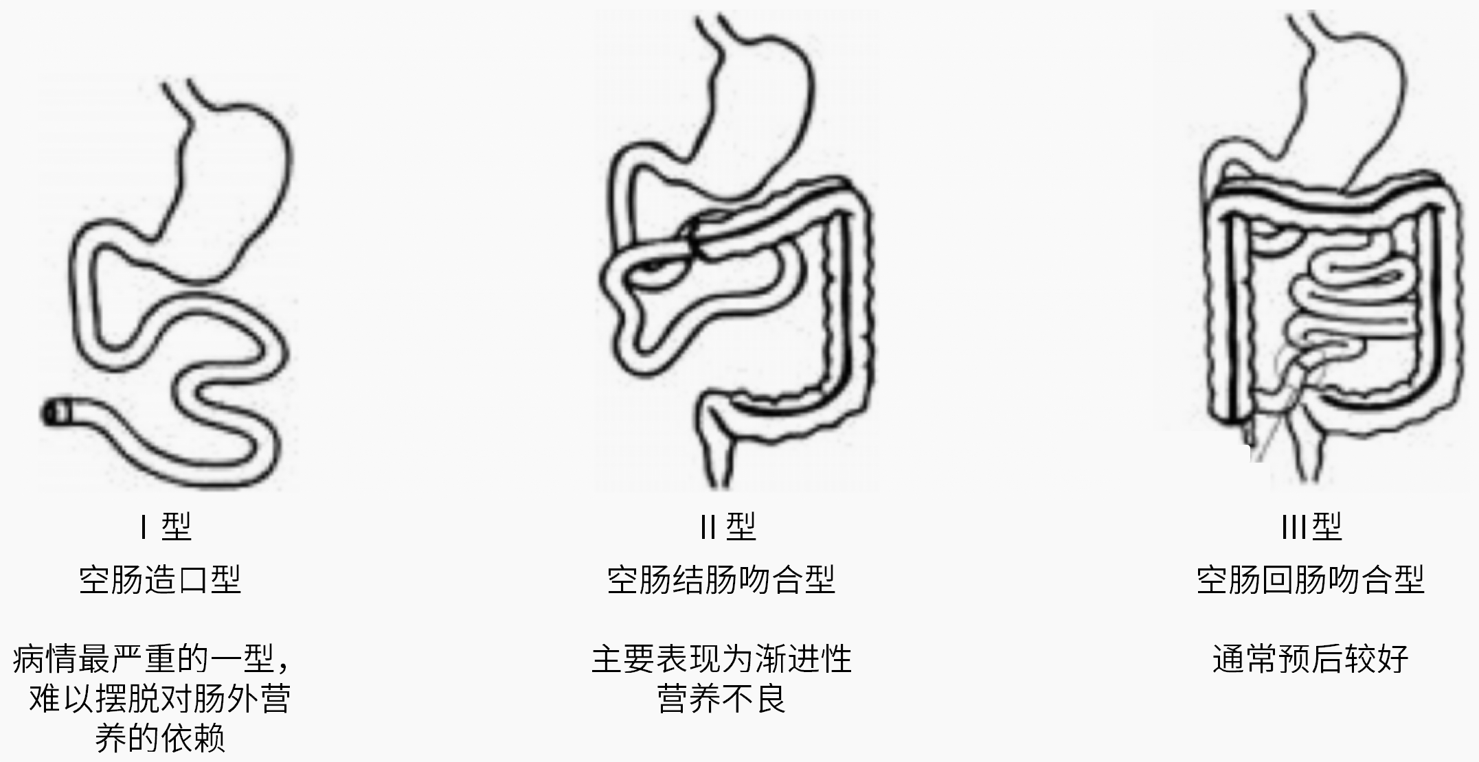 1719373015467790.png 图1.png