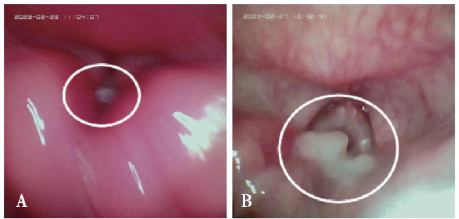 1721364198190418.png 1721364198190418.png