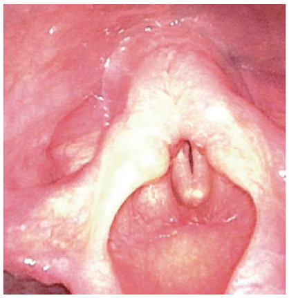 1721364238959178.png 3.png