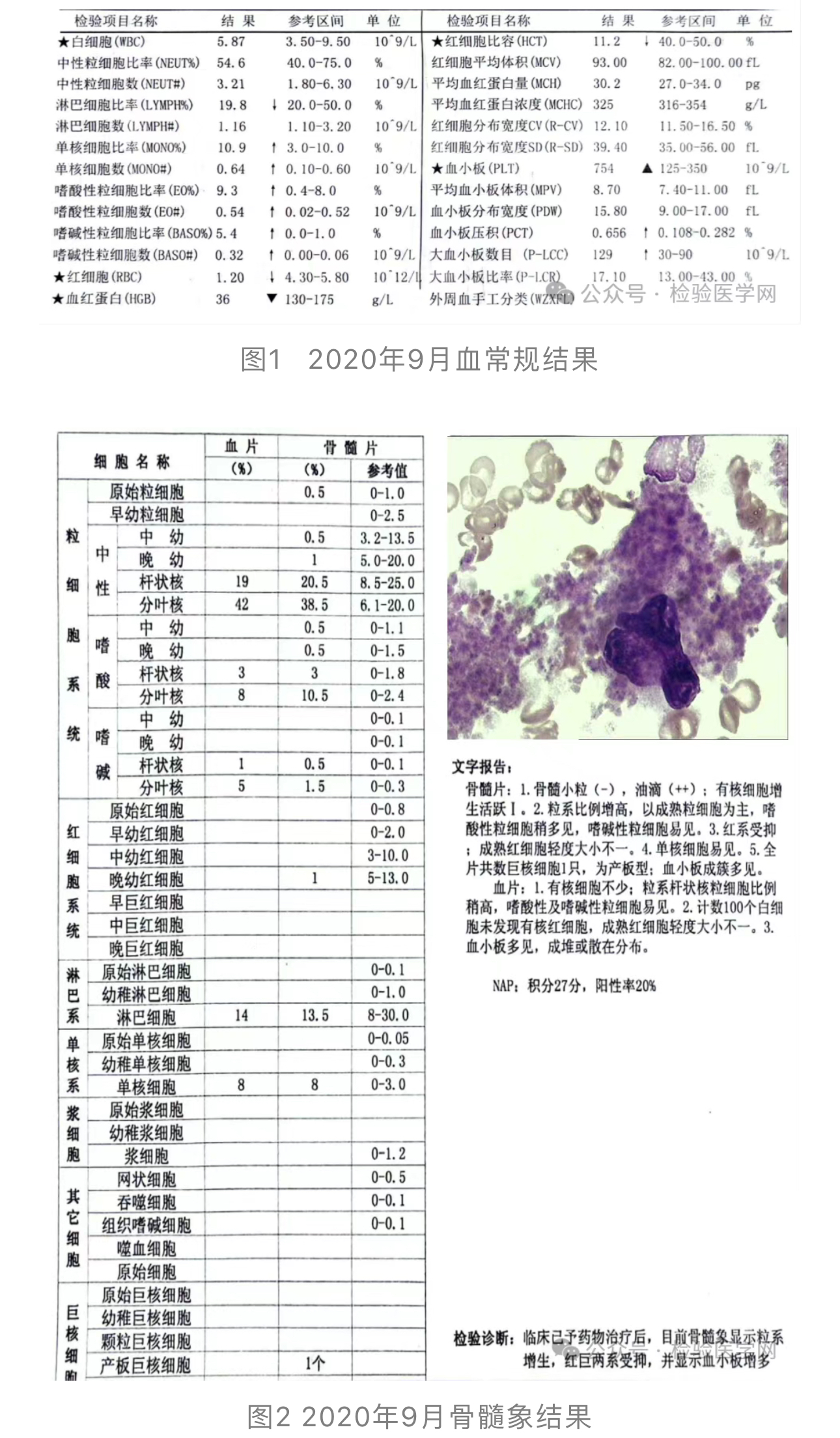 1724136419364797.jpg 1724136419364797.jpg