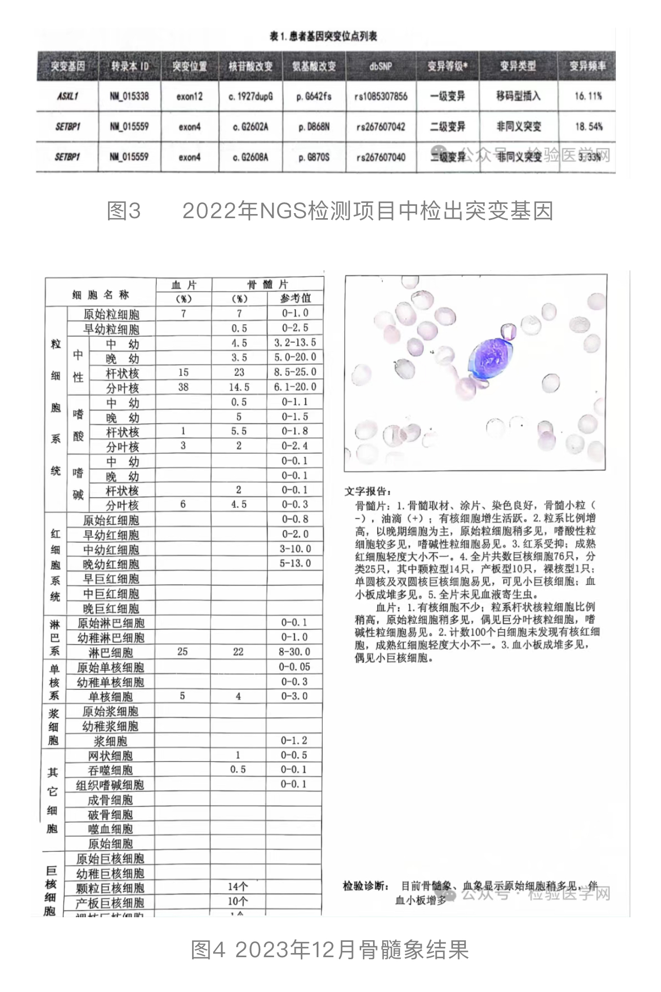 1724136471682537.jpg 1724136471682537.jpg