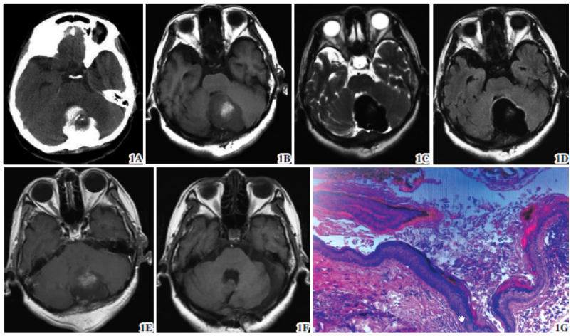 1725004782219737.png 1725004782219737.png