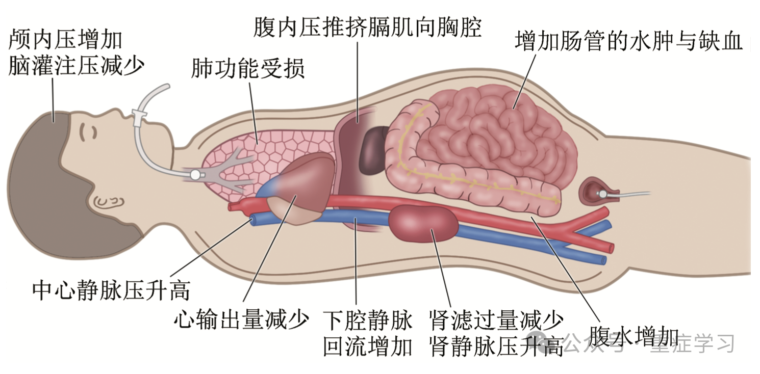 1727054477293677.png 微信图片_20240923092018.png